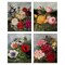 Stupell Industries Vintage Cottage Blooms 4pc Canvas Wall Art Set Design by Carol Robinson